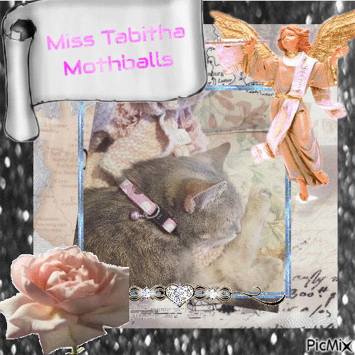May I Present Miss Tabitha Mothballs